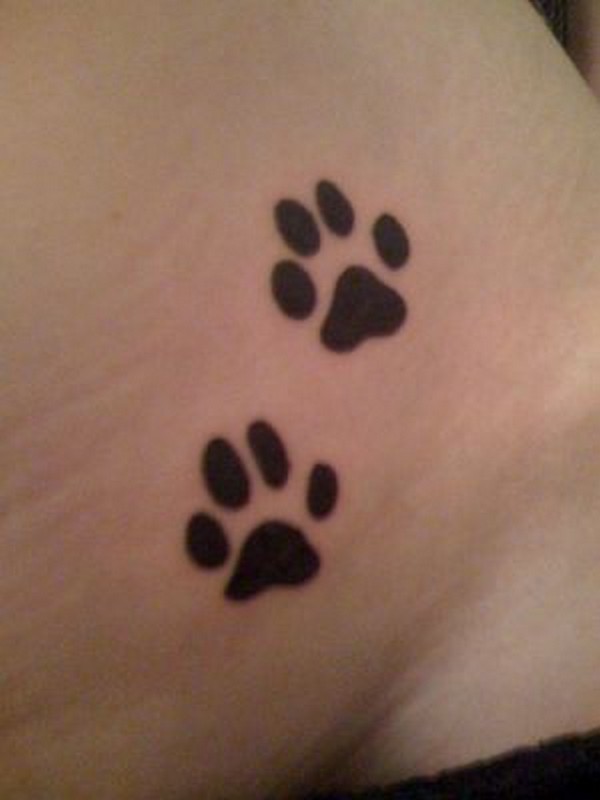 Patte de chat tatouage ▷ 1001